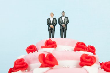 Düğün pastası ile gay çift