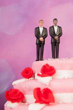 Düğün pastası ile gay çift