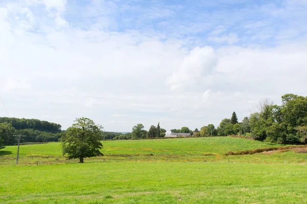 Französische Landschaft — Stockfoto