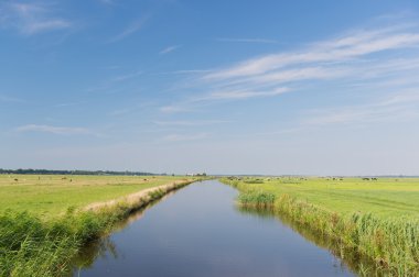 tipik Hollanda manzara