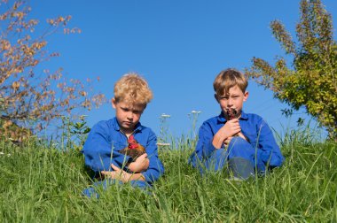 Tavuk çiftliği çocuklarla