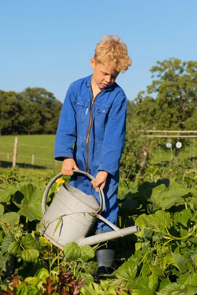 Farm Boy com regador em horta — Fotografia de Stock