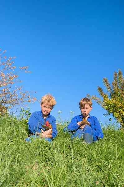 Farm Boys with chickens — Stock Photo, Image