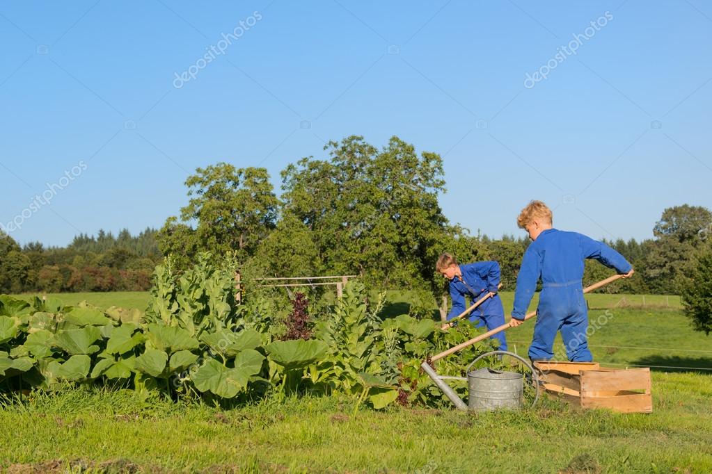 家庭菜園支援農場の少年 ストック写真 C Ivonnewierink 家庭菜園支援農場の少年 ストック写真 C Ivonnewierink