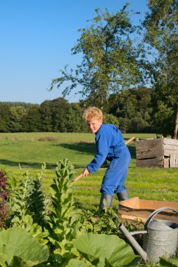 Çiftlik çocuk ayiklama sebze bahçesi