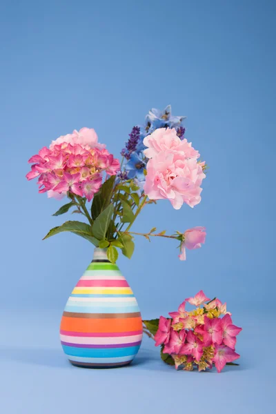 Blumen auf blauem Hintergrund — Stockfoto