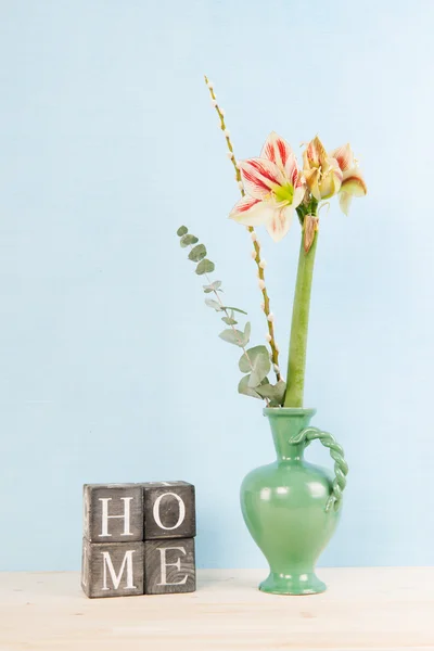 Amaryllis hemma — Stockfoto