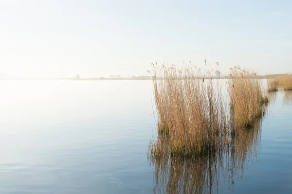 Eemmeer in Holland — Stock Photo, Image
