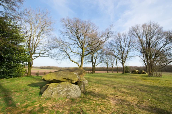 Tipik Hollanda Hunebeds — Stok fotoğraf