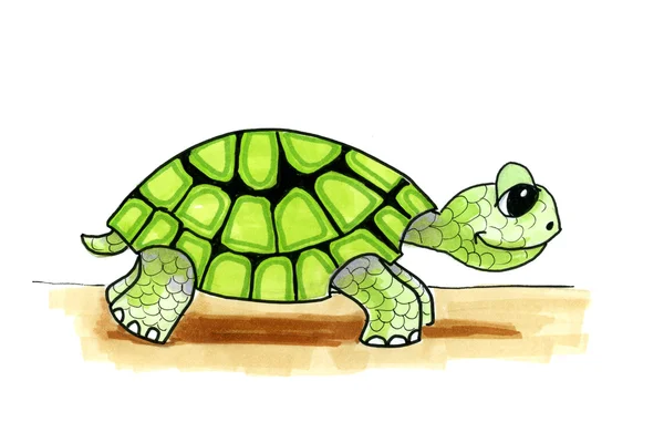 Illustration cartoon turtle — Stock Photo, Image