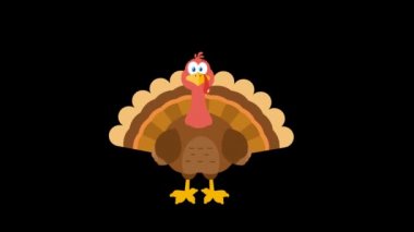 Şükran Günü Hindi Karikatürü Karakteri. 4K Animasyon Video Hareketi Grafikleri Arkaplansız