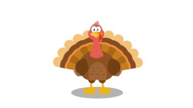 Şükran Günü Hindi Karikatürü Karakteri. 4K Animasyon Video Hareketi Grafikleri Arkaplansız