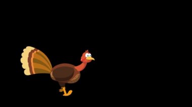 Şükran Günü hindisi çizgi film karakteri. 4K Animasyon Video Hareketi Grafikleri Arkaplansız