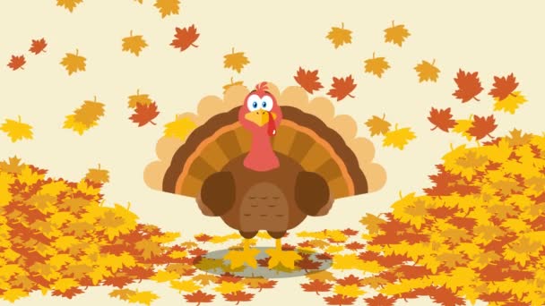 Caractère Dessin Animé Thanksgiving Turkey Bird Avec Des Feuilles Automne — Video