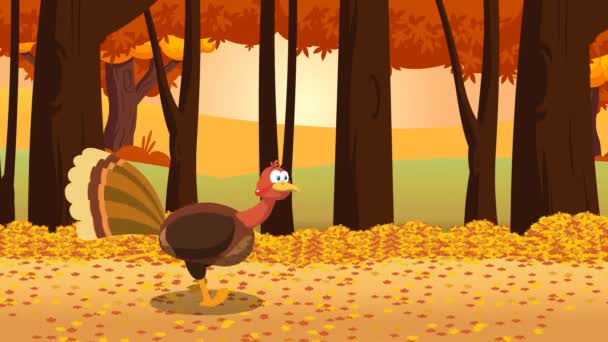 Thanksgiving Turkiet Fågel Tecknad Karaktär Kör Skogen Animation Video Motion — Stockvideo