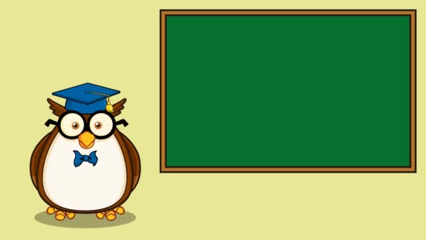 聪明的猫头鹰老师卡通人物在学校粉笔板前面的文字 4K具有背景的动画视频运动图形 — 图库视频影像
