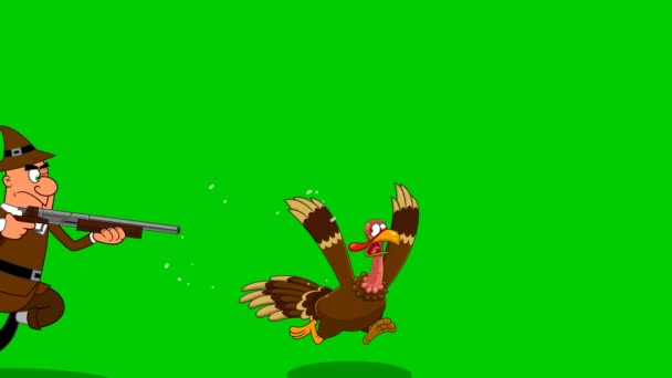 Pilgrim Chasing Turkey Animation Video Motion Graphics Green Screen Background — Stock Video