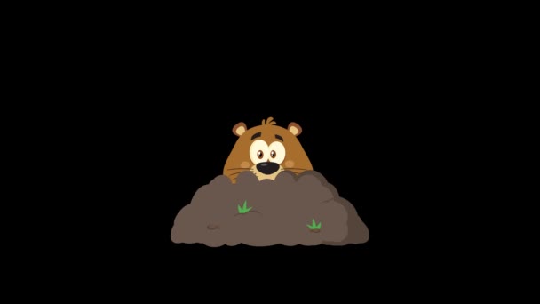Lindo Personaje Mascota Dibujos Animados Marmot Ondeando Gráficos Movimiento Vídeo — Vídeo de stock