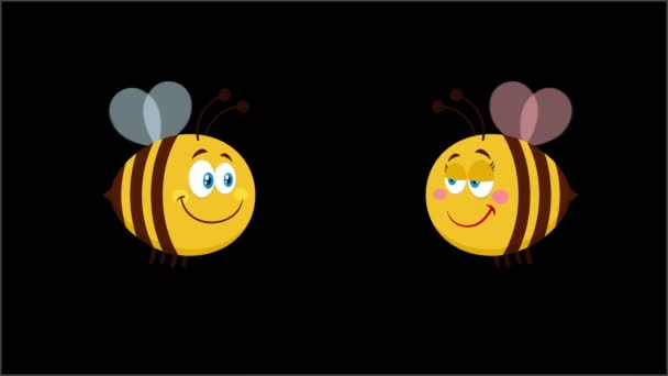蜜蜂卡通人物使情侣坠入爱河 4K没有背景的动画视频运动图形 — 图库视频影像