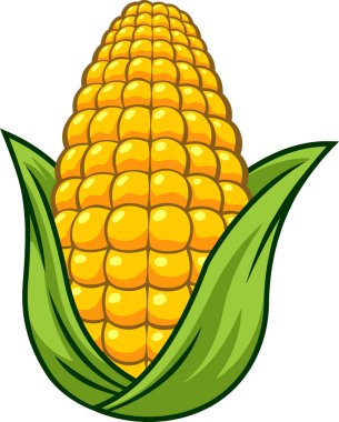 Fresh Corn Cob çizgi filmi. Vektör El Çizimi Görünümü Şeffaf Arkaplanda İzole Edildi