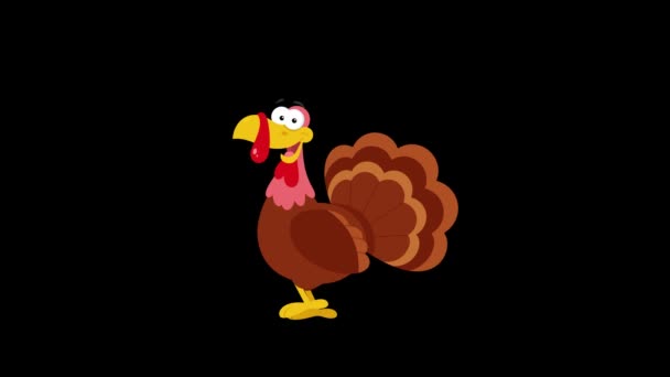 Grappige Cartoon Kalkoen Zwarte Achtergrond Beeldmateriaal Thanksgiving Concept — Stockvideo