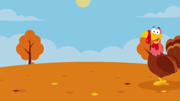 Funny Cartoon Turkey Walking Autumn Landscape Background Footage Thanksgiving Concept — Stock Video