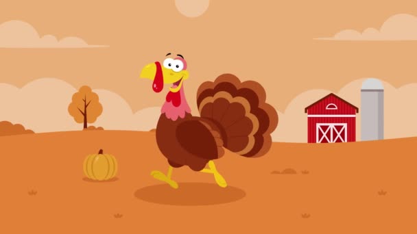 Funny Cartoon Turkey Walking Autumn Landscape Background Footage Thanksgiving Concept — Stock Video