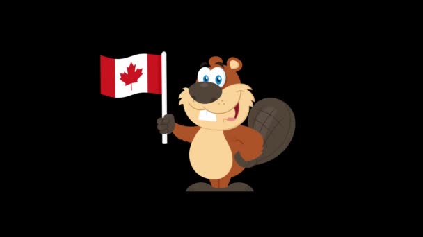 Bobr Národní Vlajkou Kanady Animované Záběry — Stock video