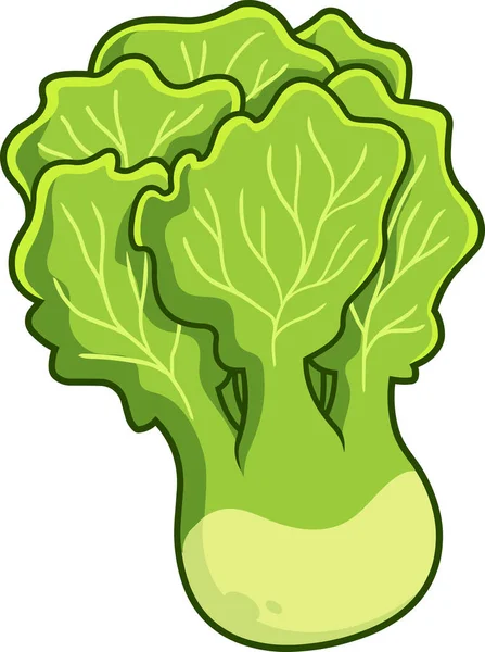 Cartoon Fresh Lettuce Raster Hand Drawn Illustration Isolated Transparent Background — Stock Vector