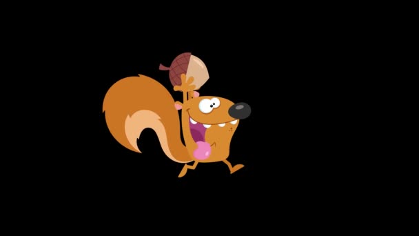 Esquilo Correndo Com Amendoim — Vídeo de Stock