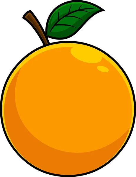 Illustrazione Illustrata Del Vettore Frutta Arancione — Vettoriale Stock