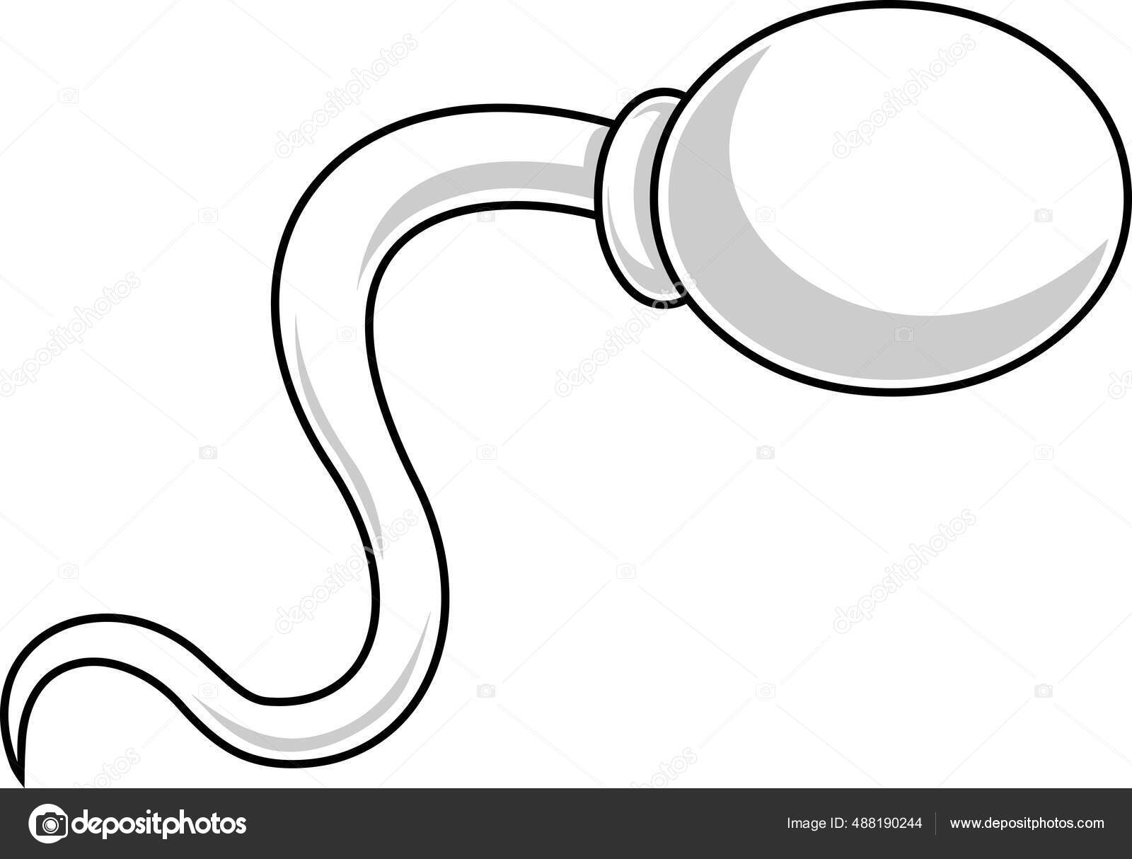 Célula Esperma Dos Desenhos Animados Corre Ilustração Desenhada Mão  Vetorial Vetor de stock de ©HitToon 488190244, image size:1600x1214