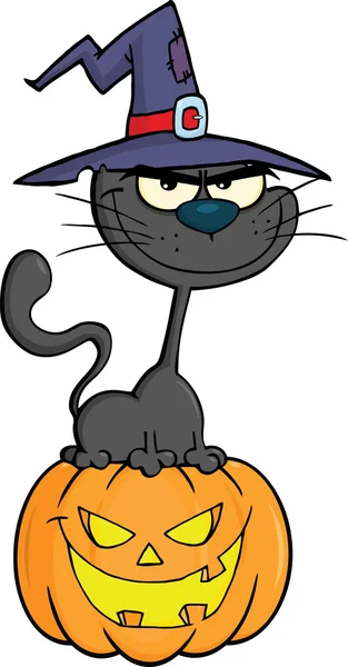 Halloween Black Cat With A Witch Hat On Pumpkin — Stock Photo, Image