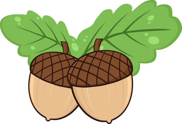Två ekollon med gröna oaken lämnar tecknade illustrationer — Stockfoto