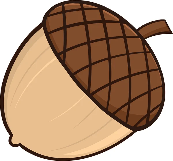 Acorn tecknade illustrationer — Stockfoto