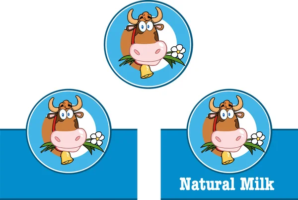 Cartoon Labels With Cow And Text. Collection Set — Stock Photo, Image