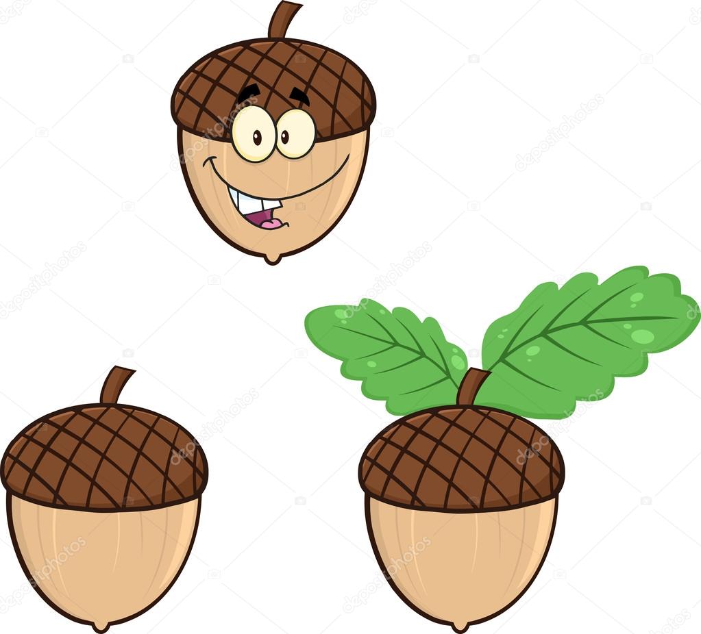 Acorns Cartoon Illustrations. Collection Set