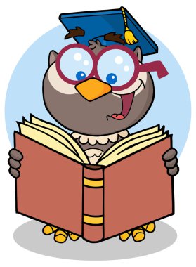 Baykuş öğretmen karakter