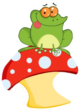 mantar üzerinde ağaç kurbağası