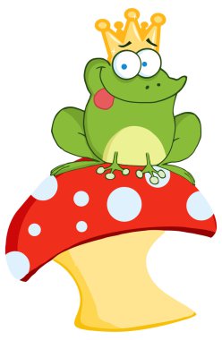 mantar üzerinde ağaç kurbağası