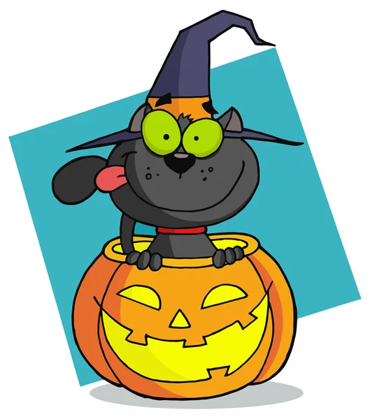 Bruxa dos desenhos animados halloween gato —  Vetores de Stock