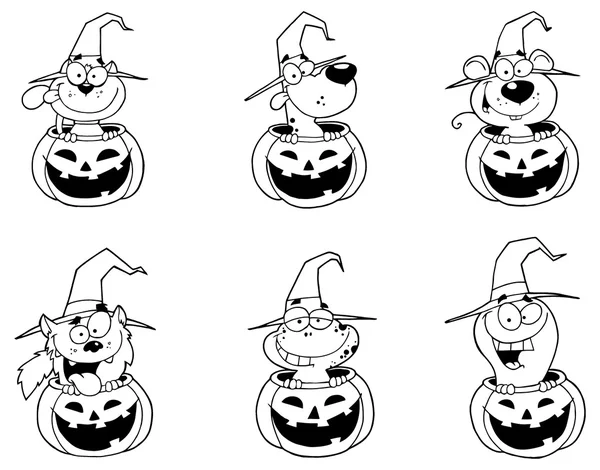 Animals In Halloween Pumpkins — Stock Vector