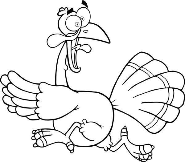 Black and white turkey — Stock Vector