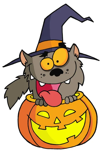 Halloween cartoon cat and pumpkin — Stock Vector