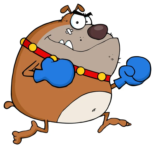 Cartoon Bulldog bokser — Stockvector
