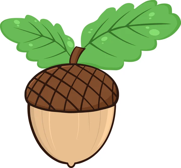 Acorn met eikenbladeren Cartoon illustraties — Stockvector