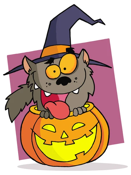 Halloween gatto e zucca — Vettoriale Stock