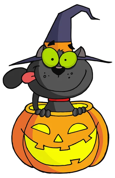 Cartoon halloween kat heks — Stockvector