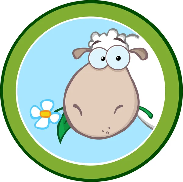 Cartoon Green Circle Label With Sheep — Stock Vector