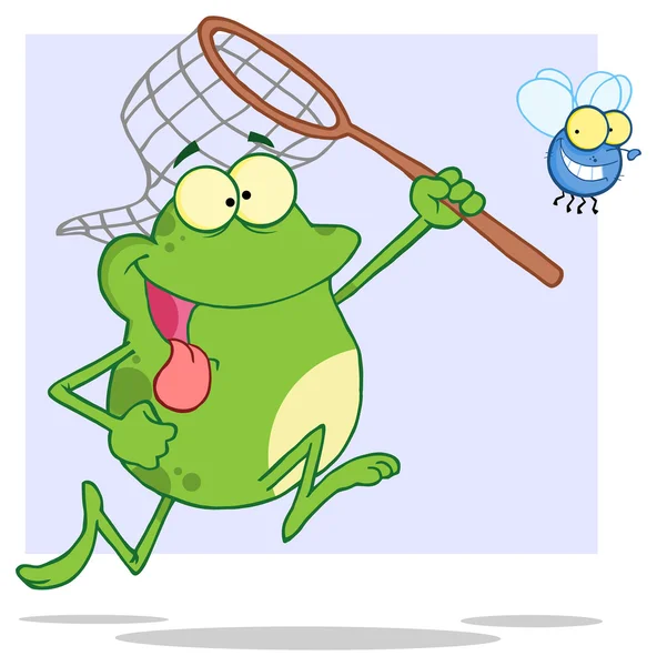 Hungry Frog Chasing Fly — Stock Vector